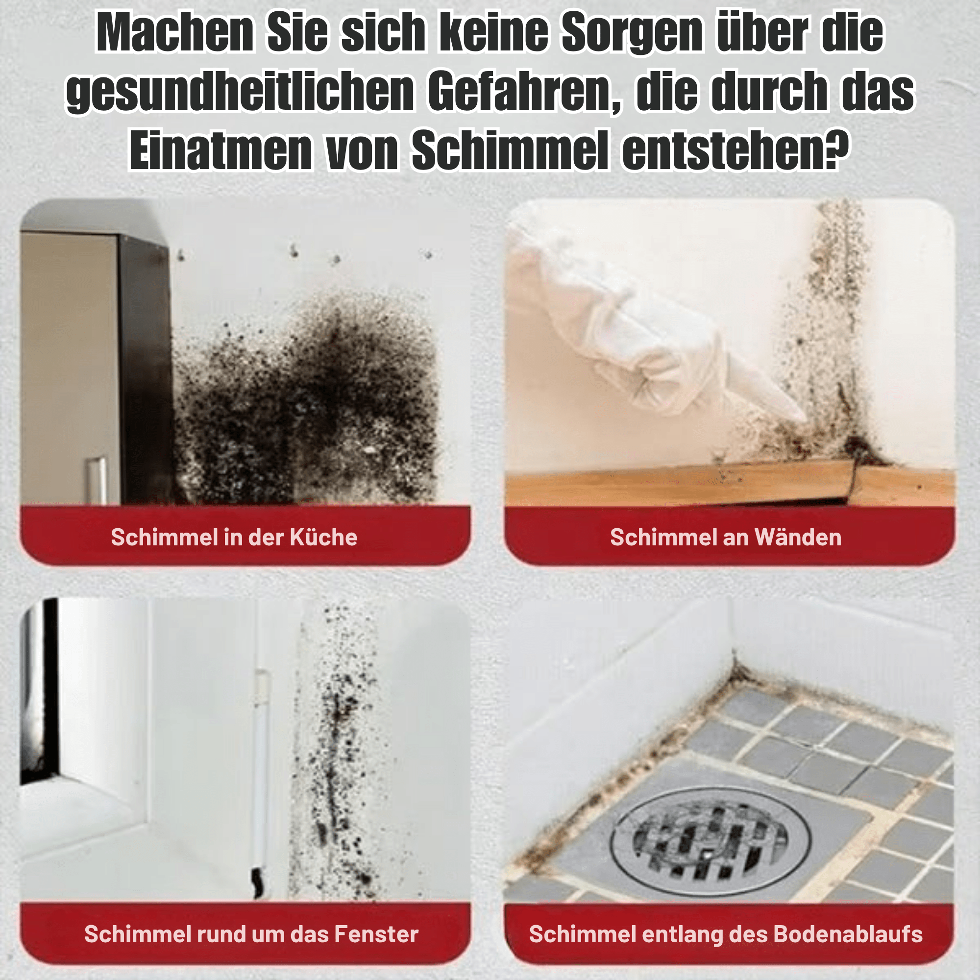 SchimmShield™ / Leistungsstarker Schimmelreinigungsschaum - Sopheria