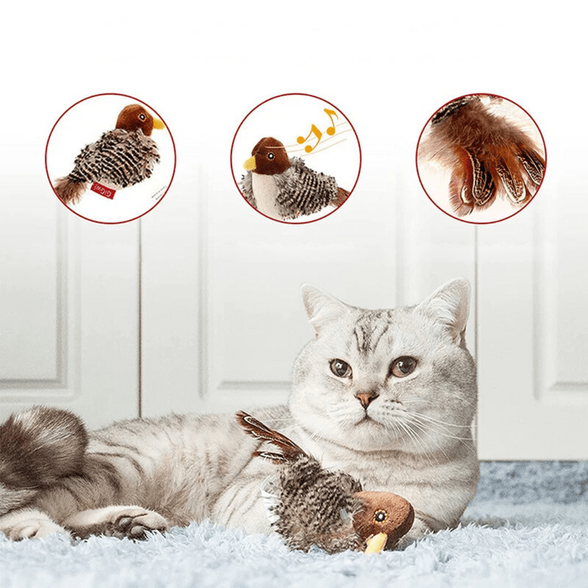 Stimulieren Sie den natürlichen Instinkt Ihrer Katze - Sopheria