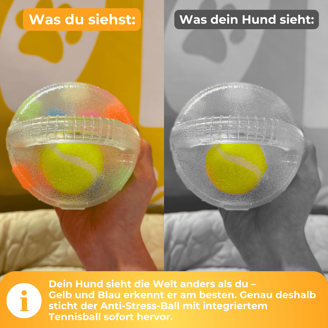 StressSchnapper™ / Anti-Stress-Ball Für Haustiere - Sopheria