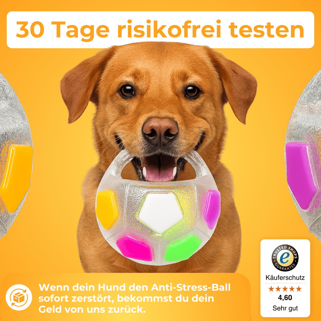 StressSchnapper™ / Anti-Stress-Ball Für Haustiere - Sopheria