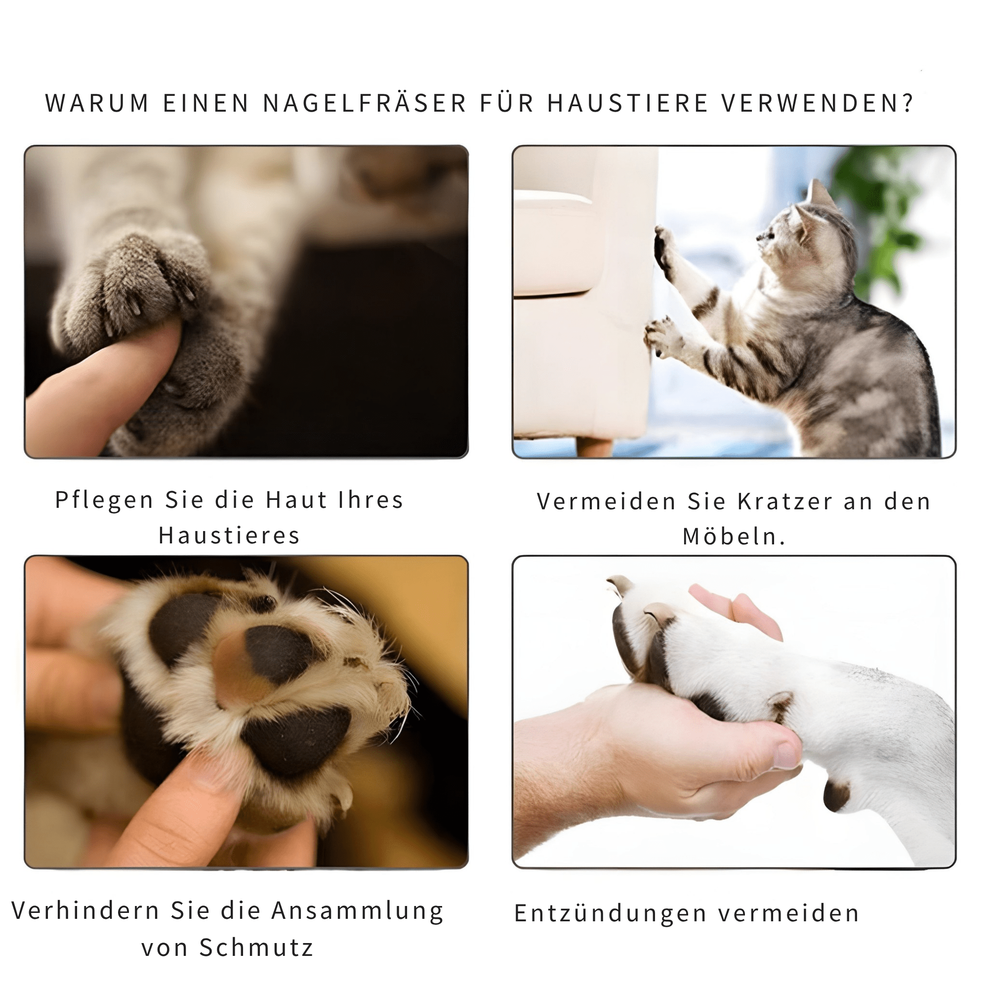 TierTrim™ / Stressfreie Nagelfeile für Ihr Haustier - Sopheria