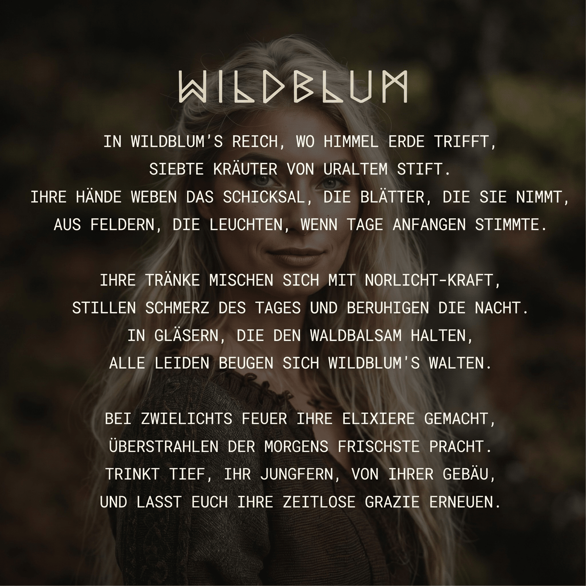 Wildblum / Wasserfreies Anti-Aging System mit arktischer Hagebutte & Sanddorn - Sopheria
