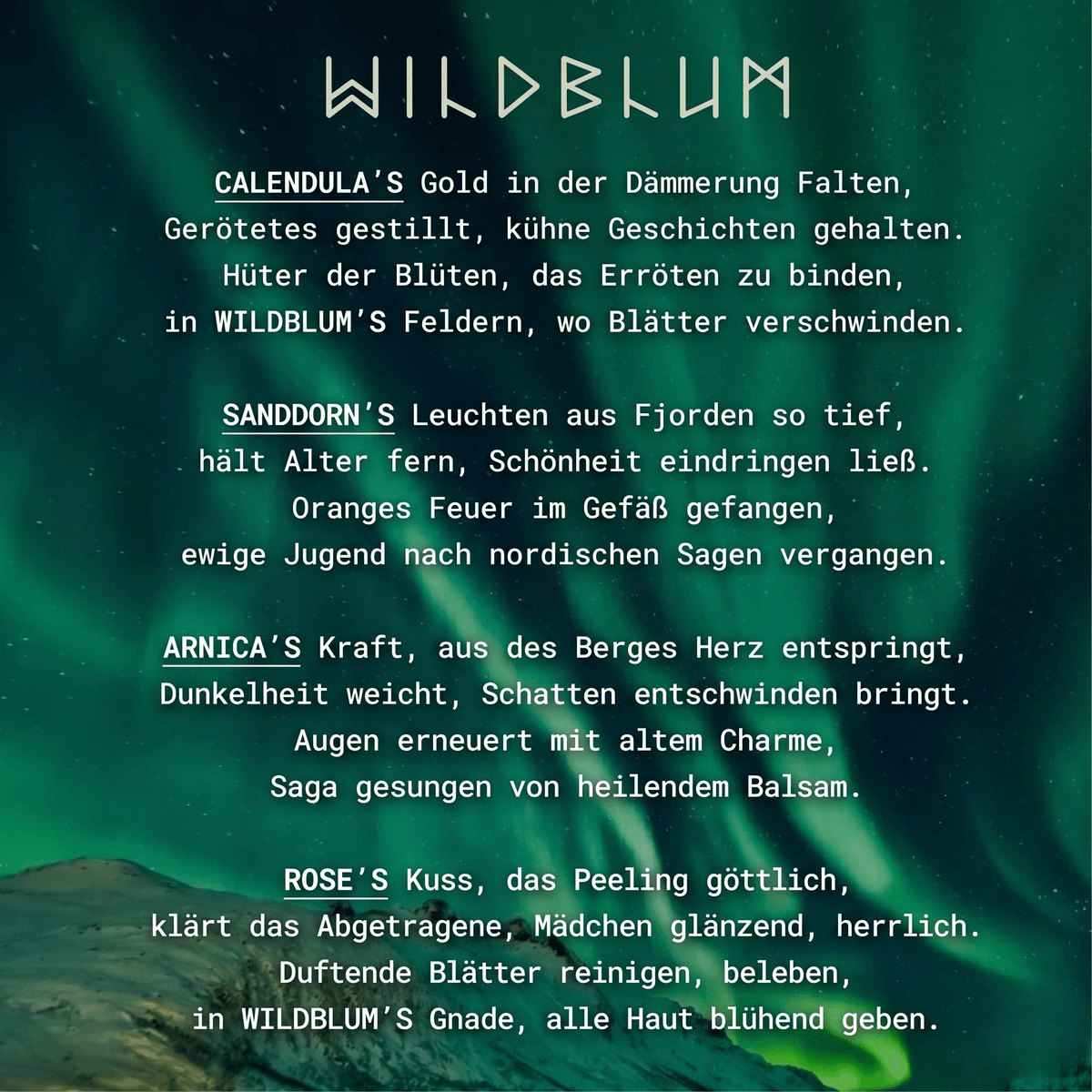 Wildblum / Wasserfreies Anti-Aging System mit arktischer Hagebutte & Sanddorn - Sopheria