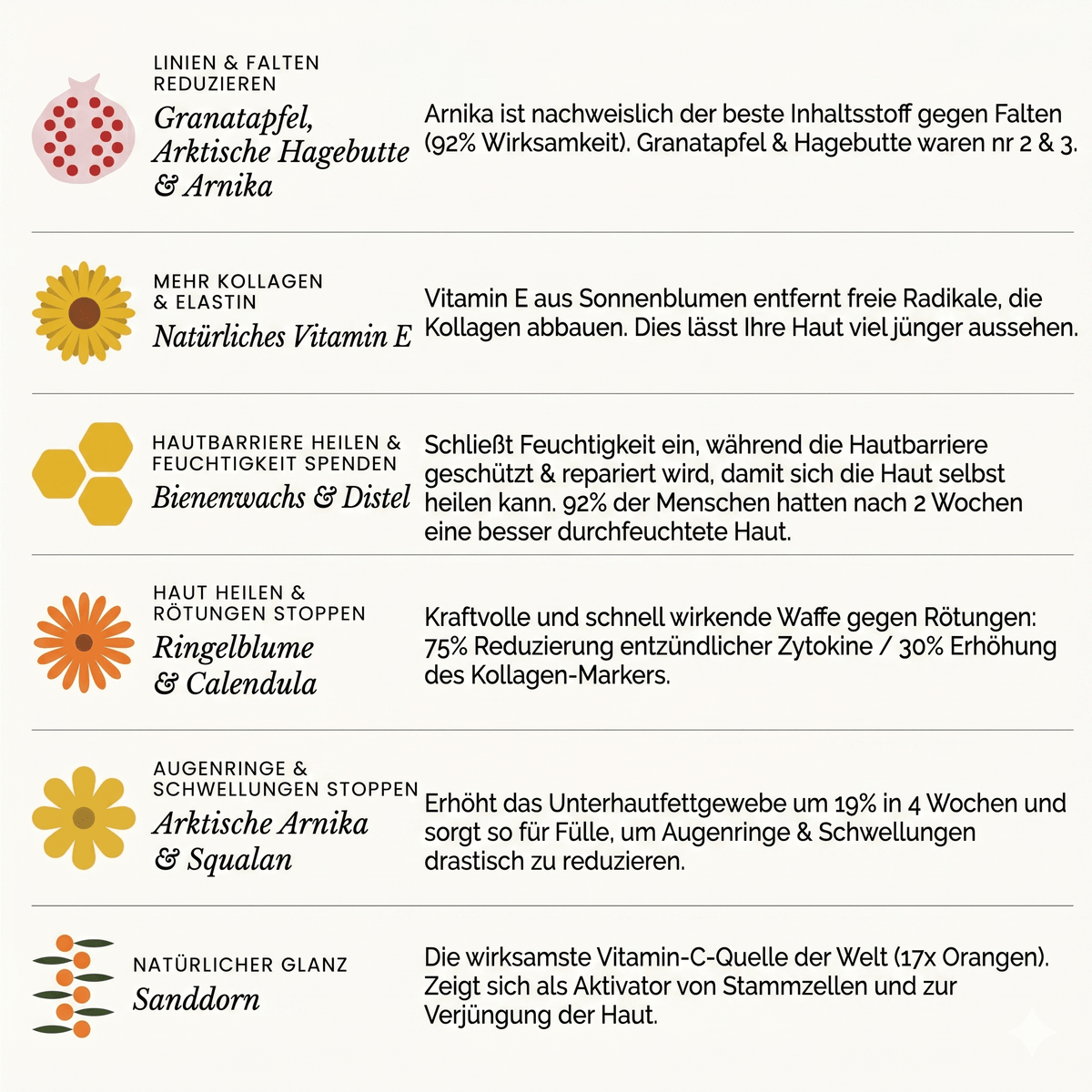 Wildblum / Wasserfreies Anti-Aging System mit arktischer Hagebutte & Sanddorn - Sopheria