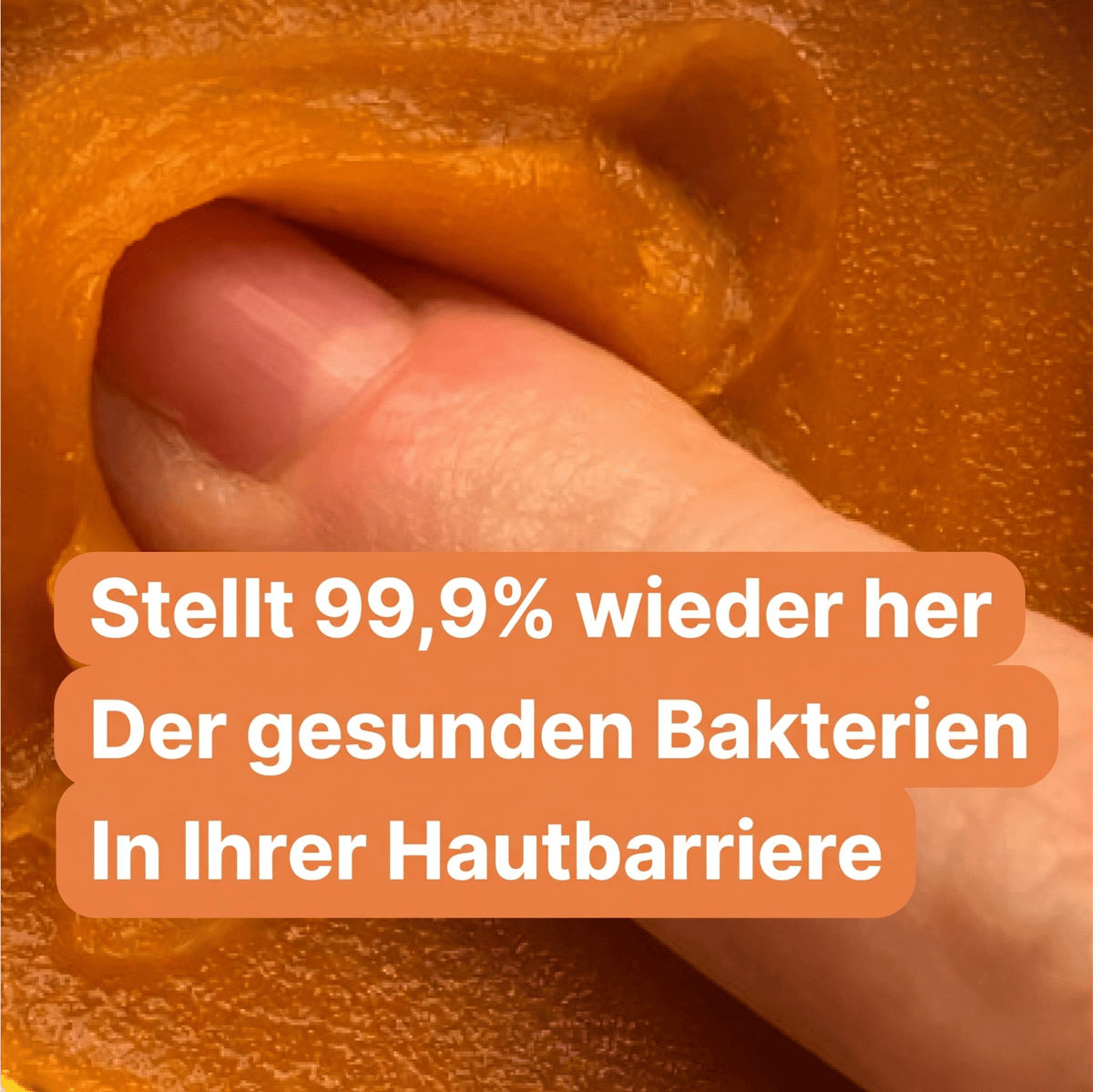 Wildblum / Wasserfreies Anti-Aging System mit arktischer Hagebutte & Sanddorn - Sopheria