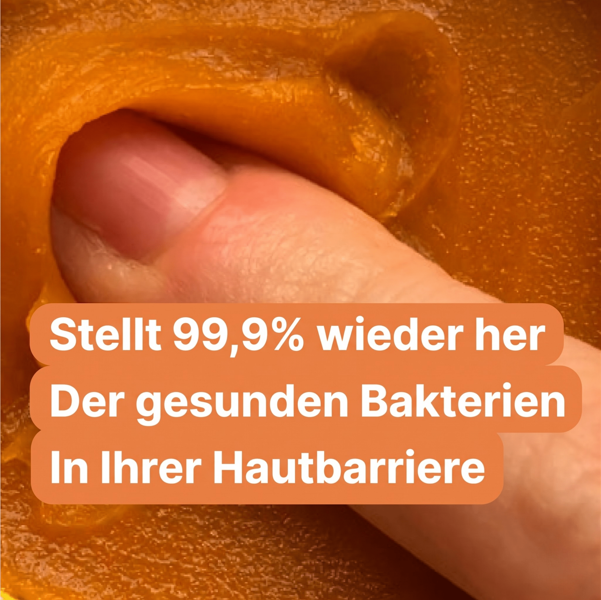 Wildblum / Wasserfreies Anti-Aging System mit arktischer Hagebutte & Sanddorn - Sopheria