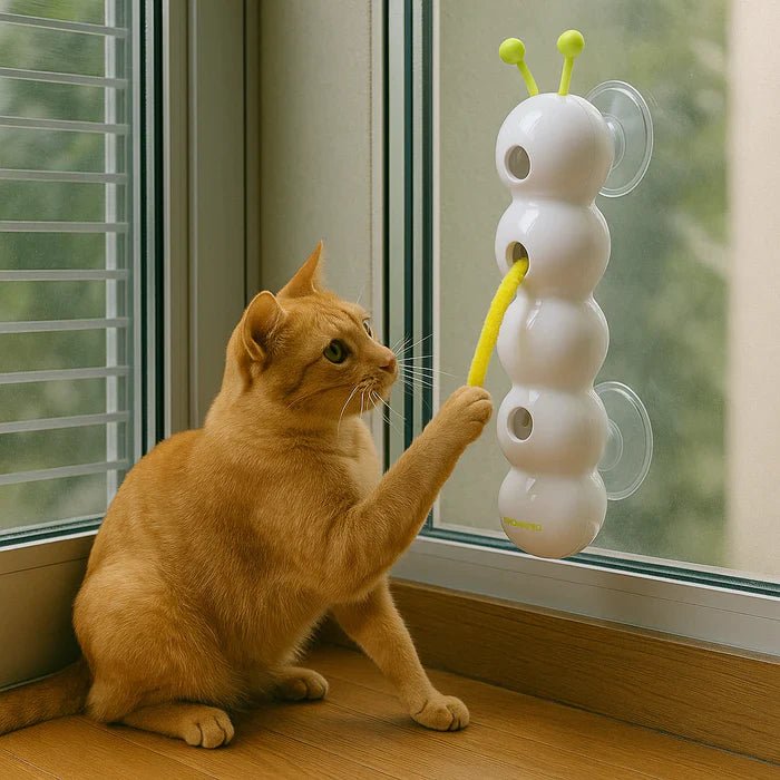 WurmWirbel™ / Interaktives Katzenspielzeug mit Wurmbewegung - Sopheria